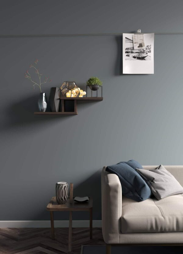 Полка P-70(z) — изображение 2