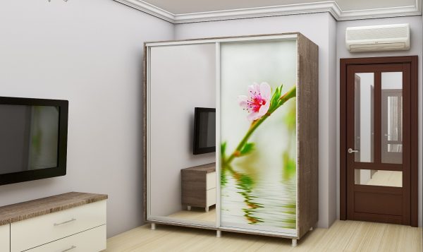 D-200 Sakura Dulap glisant D-200 (2.0m) Imprimare foto 1/2 (usa) - imagine 4