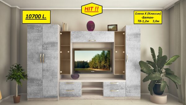 Стенка Елена Х(ТВ-1,2) 3,0м "Бетон" — изображение 2