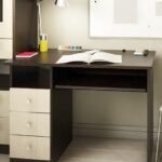 Стол компьютерный КС-100(ящ.)