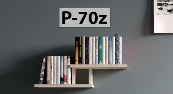 Полка P-70(z) — изображение 1