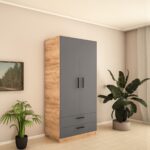 Dulap ShZ-100 (2 sert)