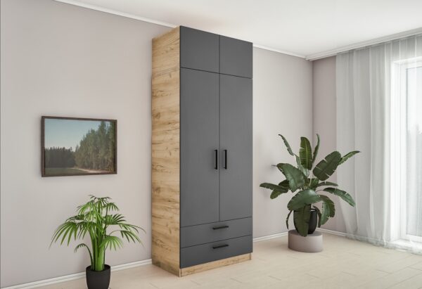 Dulap ShY/ShZ-100(2)+(Mezzanine) - imagine 2